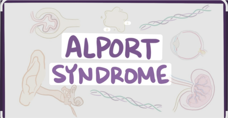 Für mein Lebensgefährten mit alport-syndrom