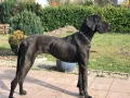 img 20260127 wa0022