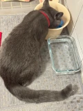 img 3646
