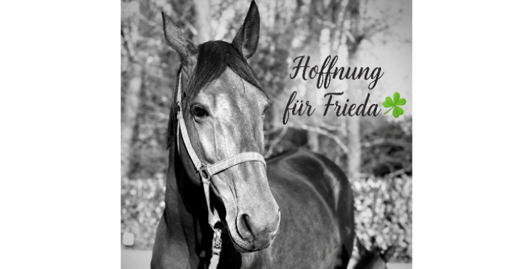 Hilfe für Frieda 🙏🏼