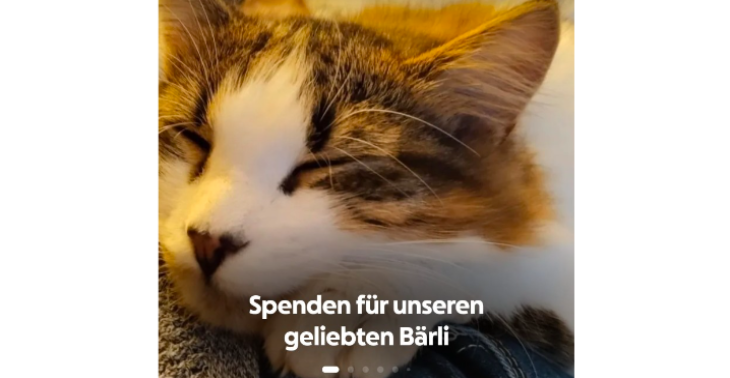 Hilfe für unseren geliebten Kater Bärli 🐾