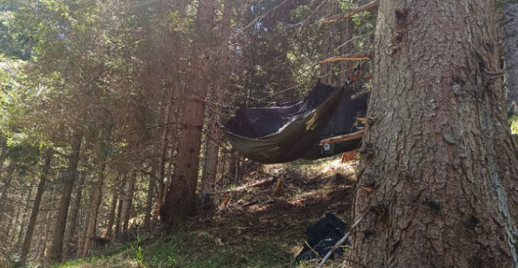 Hilfe für familien in Österreich