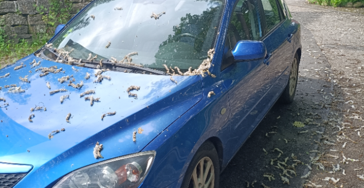 Auto für den Weg zur Arbeit