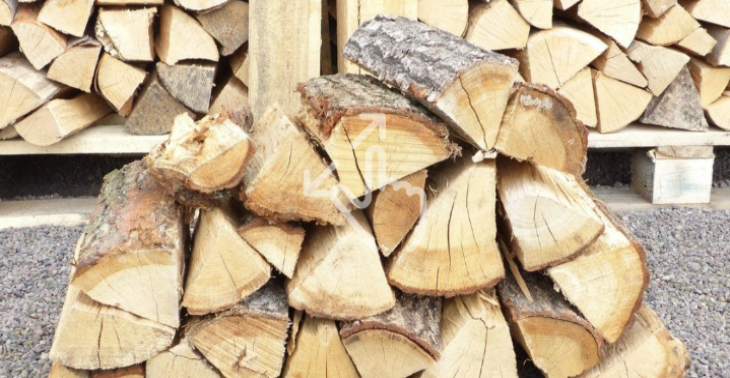 Brennholz für den Winter