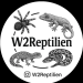 W2 Reptilien